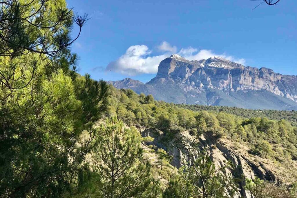 Apartamento Siente Sobrarbe En Aínsa Dış mekan fotoğraf